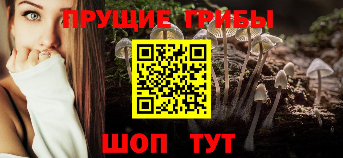 Галлюциногенные грибы Cubensis  Вход с VPN  Нерюнгри  Псилоцибиновые грибы MAGIC MUSHROOMS 